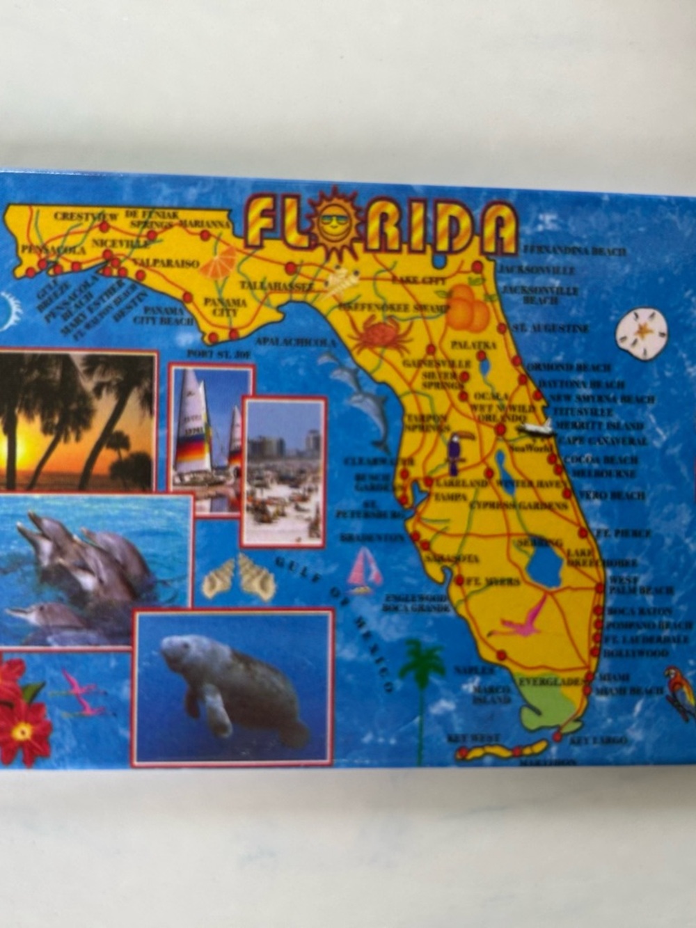 Florida Souvenir Magnet- Bright Yellow & Blue